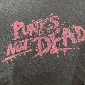 Silver Star Punks Not Dead Grunge Skate Rock Band MMA Graphic Men’s t-shirt XL